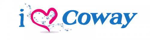 Coway bidet