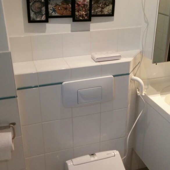 Maro DI600 spatoilet (2) Maro DI600 douche wc