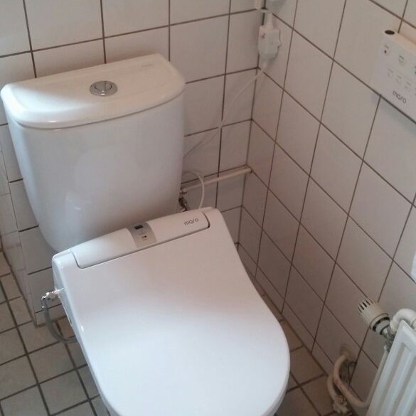Bidet toilet