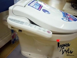 Bidet toilet