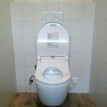 Douchewc in gastentoilet megadump