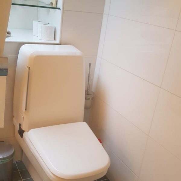 Geberit Balena 7000 staande douchetoilet