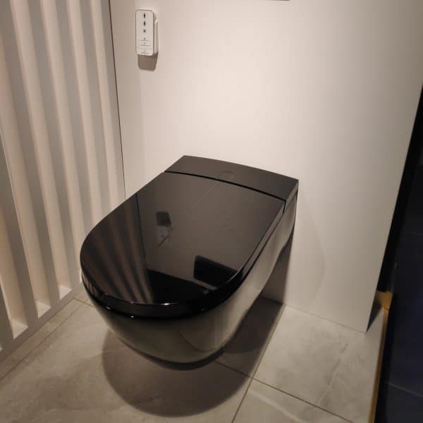 ViClean_i_100_black_washlet