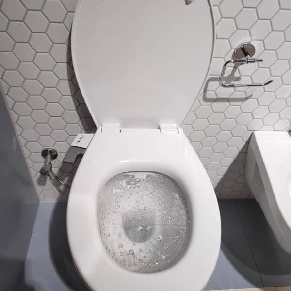 GROHE_BAU_Ceramic_bidet_opzetbril